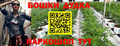 дмт Беслан