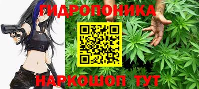 гашик Берёзовский