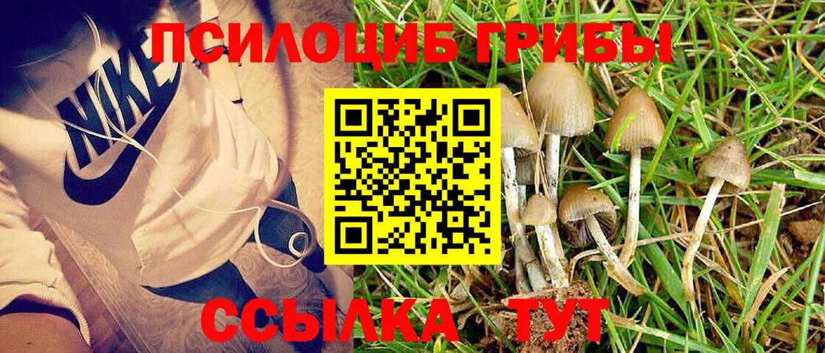 Борисоглебск  купить наркоту  Вход с VPN  Галлюциногенные грибы Psilocybe 